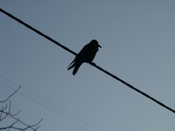 mâts d’éclairage